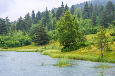 Similar image 20521088