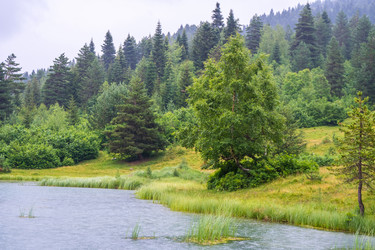 Similar image 20521089