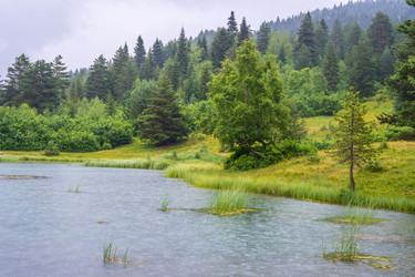 Similar image 20521090