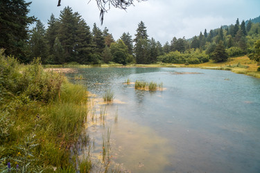 Similar image 20521091