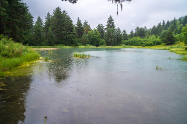 Similar image 20521092