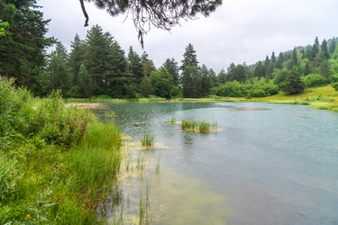 Similar image 20521095