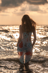 Similar image 20566301