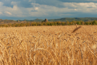 Similar image 20661001