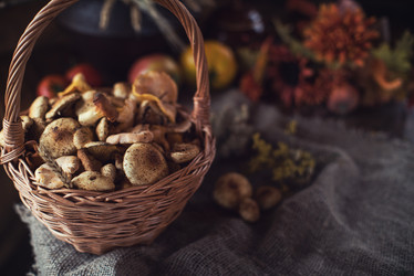 Similar image 20661016