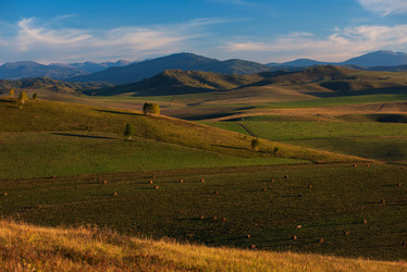 Similar image 20661044