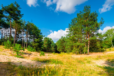 Similar image 20670743