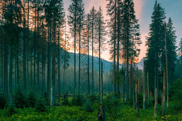 Similar image 20670791