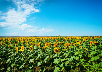 Similar image 20660909