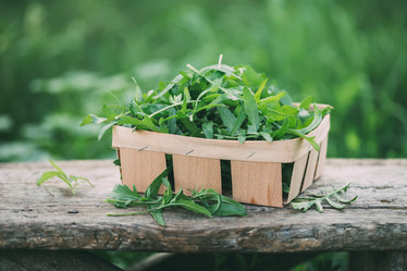 Similar image 20681975