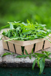 Similar image 20681976