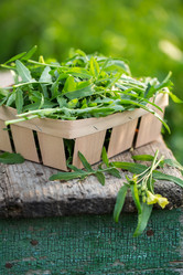 Similar image 20681977