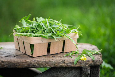 Similar image 20681978