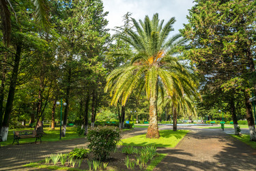 Similar image 20660704