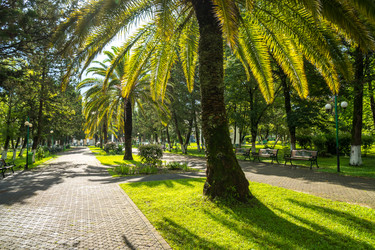 Similar image 20660705