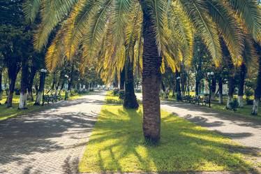 Similar image 20660708