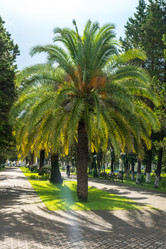 Similar image 20660712