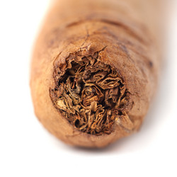 Similar image 20660716