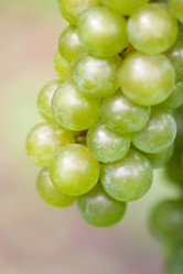 Similar image 20670973