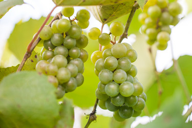 Similar image 20670974