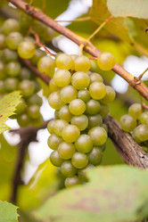 Similar image 20670975