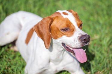 Similar image 20670983