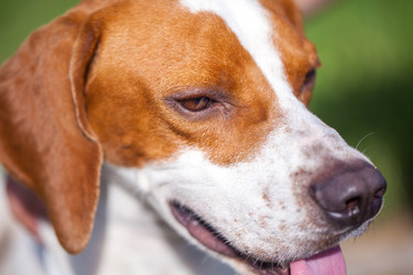 Similar image 20670984