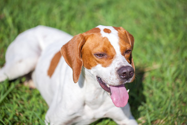 Similar image 20670985