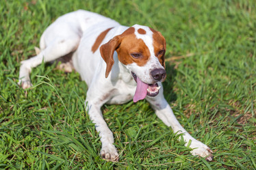 Similar image 20670987