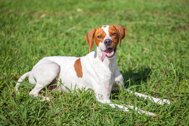 Similar image 20670990