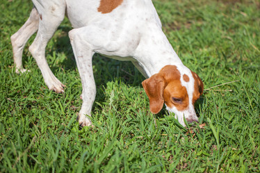 Similar image 20670992