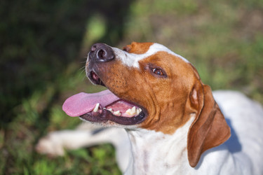 Similar image 20670993