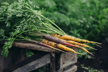 Similar image 20682036