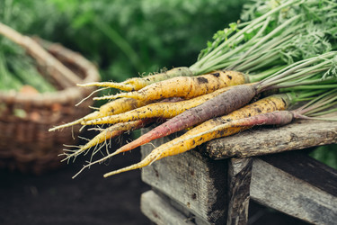 Similar image 20682038