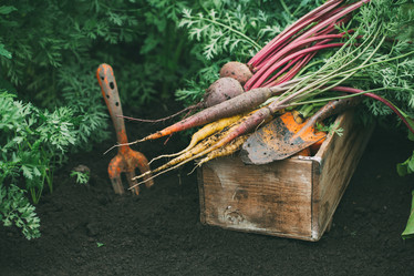 Similar image 20682039