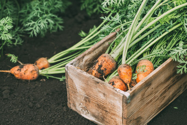 Similar image 20682041