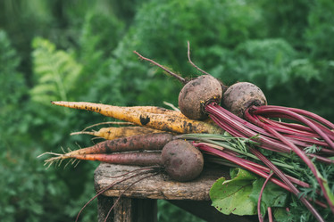 Similar image 20682042