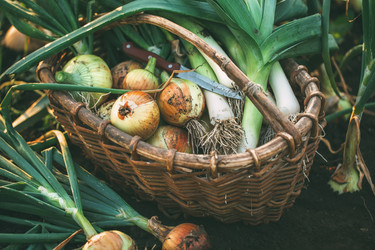 Similar image 20682048