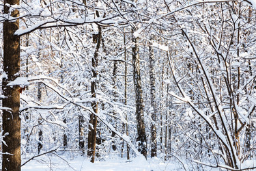 Similar image 20737292