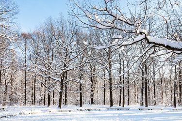 Similar image 20737315