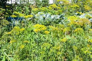 Similar image 20737327