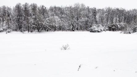 Similar image 20737341