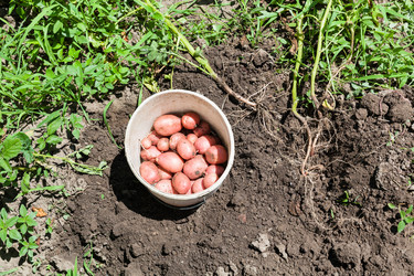 Similar image 20737358