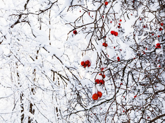 Similar image 20737367