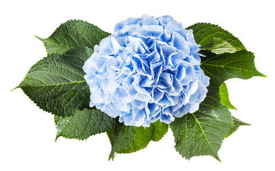 Similar image 20737411