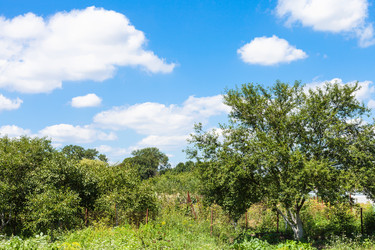 Similar image 20737692