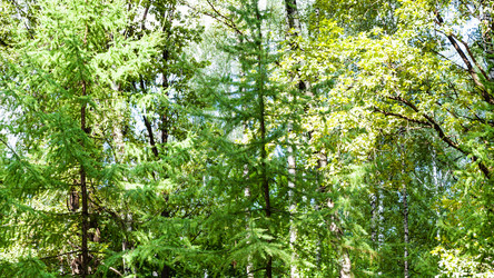 Similar image 20737717