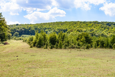 Similar image 20737739