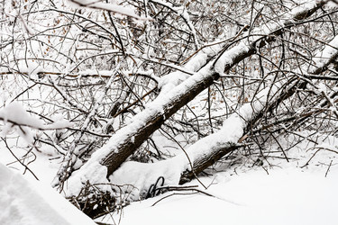 Similar image 20737763