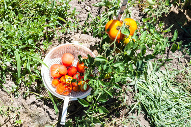 Similar image 20737781